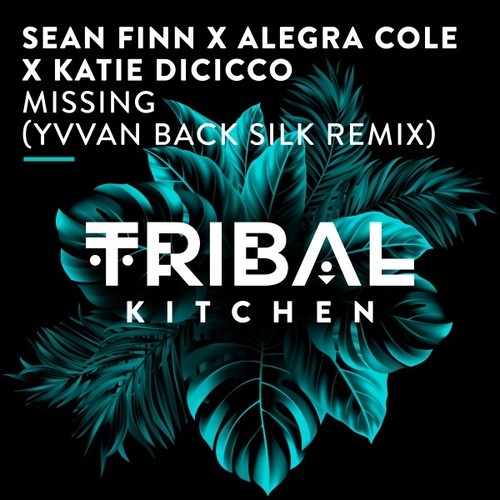 Sean Finn, Alegra Cole, Katie DiCicco - Missing (Yvvan Back Silk Remix) [TK258]